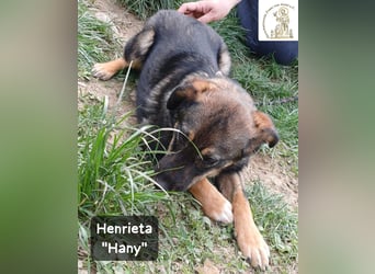 Hany – neugierig, frech und unwiderstehlich!