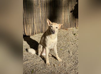 Charmanter Mati sucht ein passendes Zuhause