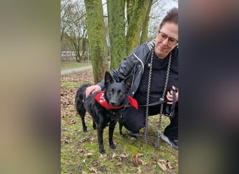 Schönheit Emma in 45138 Essen