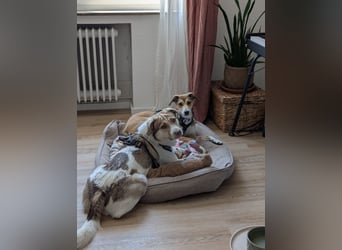 Süße Livia