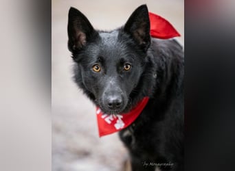 Schönheit Emma in 45138 Essen