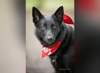 Schönheit Emma in 45138 Essen