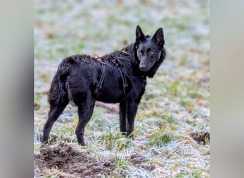 Schönheit Emma in 45138 Essen