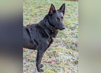 Schönheit Emma in 45138 Essen