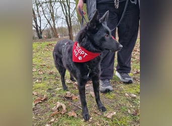 Schönheit Emma in 45138 Essen