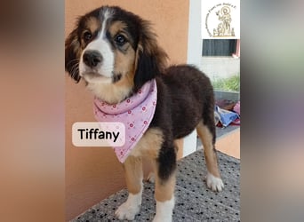 Tiffany – Man ist nie zu klein, um für jemanden die ganze Welt zu sein!