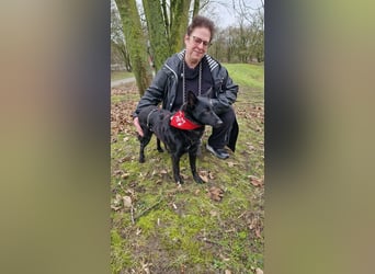 Schönheit Emma in 45138 Essen