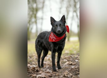 Schönheit Emma in 45138 Essen