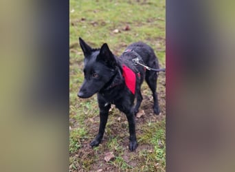 Schönheit Emma in 45138 Essen