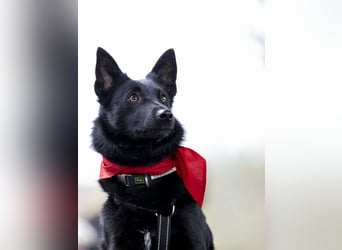 Schönheit Emma in 45138 Essen