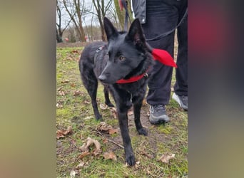 Schönheit Emma in 45138 Essen