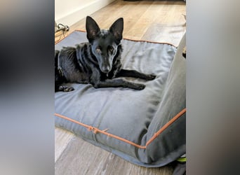 Schönheit Emma in 45138 Essen