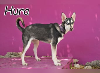 Öffnest du Hura die Tür zu einem neuen Leben?