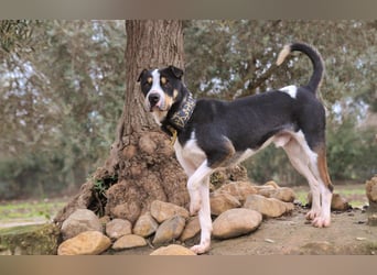 Zeigst du Sharif, dass seine Zukunft hell ist?