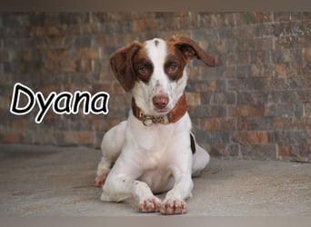 Öffnest du Dyana dein Herz?