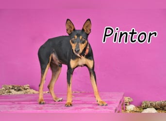 Öffnest du Pintor die Tür zu einem neuen Leben?