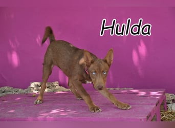 Zeigst du Hulda, wie schön das Leben sein kann?