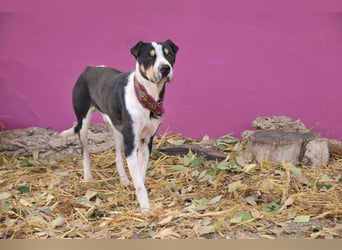 Zeigst du Sharif, dass seine Zukunft hell ist?