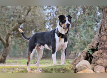 Zeigst du Sharif, dass seine Zukunft hell ist?