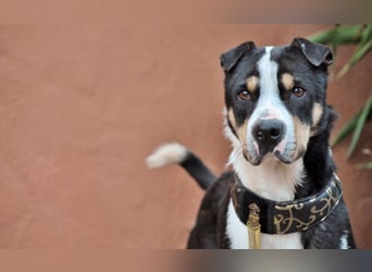 Zeigst du Sharif, dass seine Zukunft hell ist?