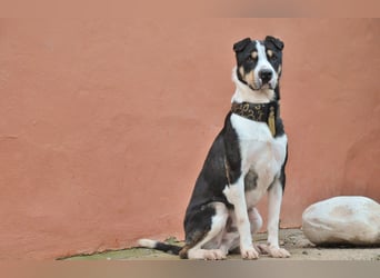 Zeigst du Sharif, dass seine Zukunft hell ist?