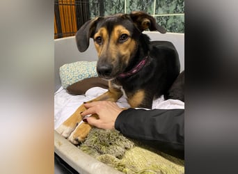 Jenna – bereit für ihr eigenes Zuhause