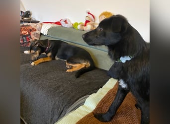 Jenna – bereit für ihr eigenes Zuhause