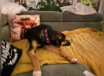 Jenna – bereit für ihr eigenes Zuhause