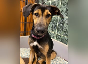 Jenna – bereit für ihr eigenes Zuhause