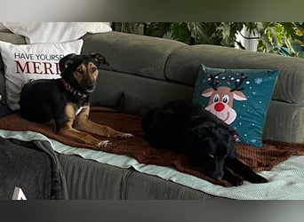 Jenna – bereit für ihr eigenes Zuhause