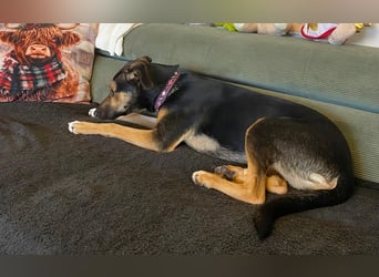 Jenna – bereit für ihr eigenes Zuhause