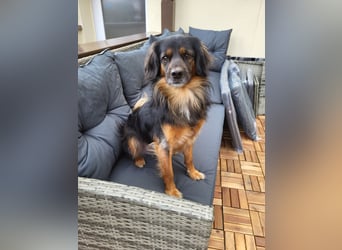 Bruno - kleiner Schmusebär sucht seine Familie