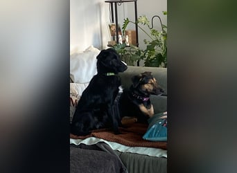 Jenna – bereit für ihr eigenes Zuhause