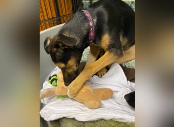 Jenna – bereit für ihr eigenes Zuhause