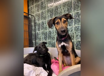 Jenna – bereit für ihr eigenes Zuhause