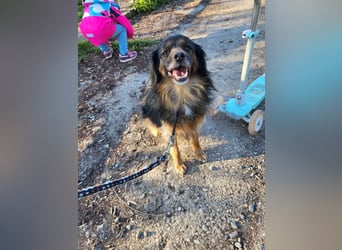 Bruno - kleiner Schmusebär sucht seine Familie