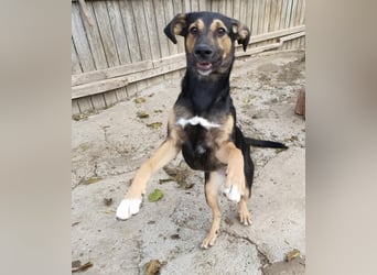 Jenna – bereit für ihr eigenes Zuhause