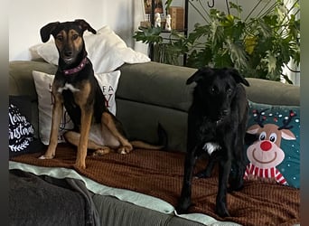 Jenna – bereit für ihr eigenes Zuhause