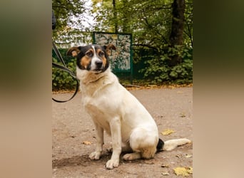 Yucca - eine Kuschelmaus möchte endlich ankommen dürfen