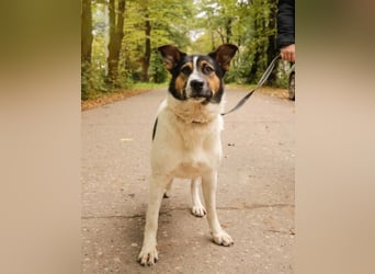 Yucca - eine Kuschelmaus möchte endlich ankommen dürfen