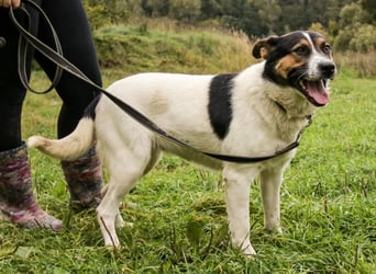 Yucca - eine Kuschelmaus möchte endlich ankommen dürfen