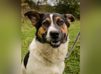 Yucca - eine Kuschelmaus möchte endlich ankommen dürfen