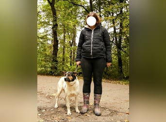 Yucca - eine Kuschelmaus möchte endlich ankommen dürfen