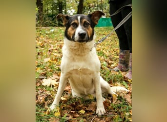 Yucca - eine Kuschelmaus möchte endlich ankommen dürfen