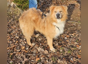 Kenzo sucht seine Menschen