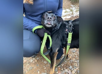 Alora sucht sportliche Menschen