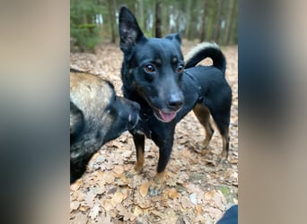 Alora sucht sportliche Menschen