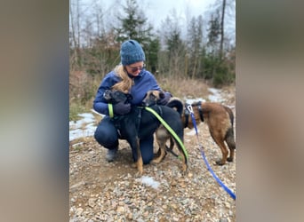 Alora sucht sportliche Menschen