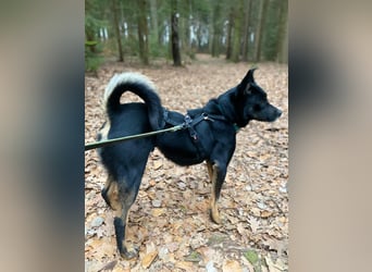 Alora sucht sportliche Menschen