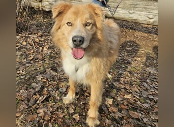 Kenzo sucht seine Menschen